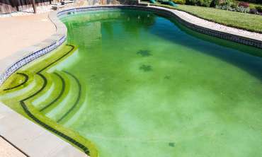Specialty Pool Repair Services